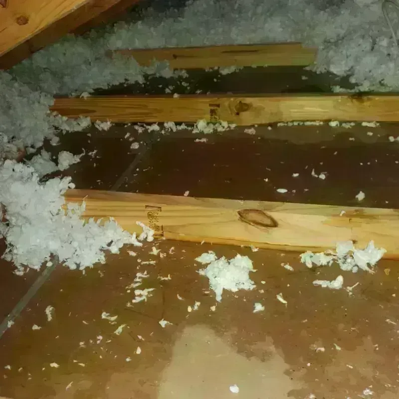 Attic Water Damage in Talent, OR