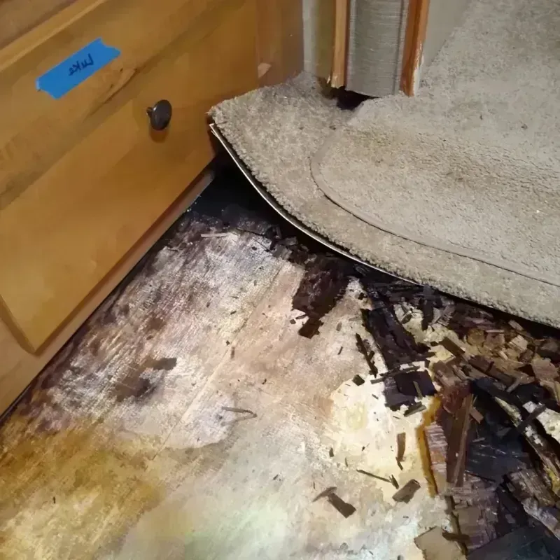 Wood Floor Water Damage in Talent, OR